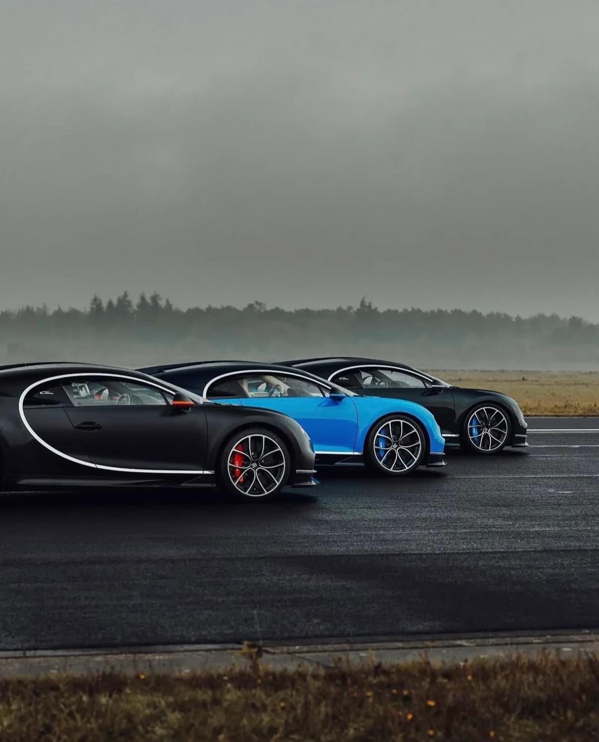 Bugatti Chirons insured as a collection
